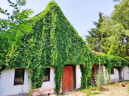 Bauernhaus kaufen Baden Württemberg