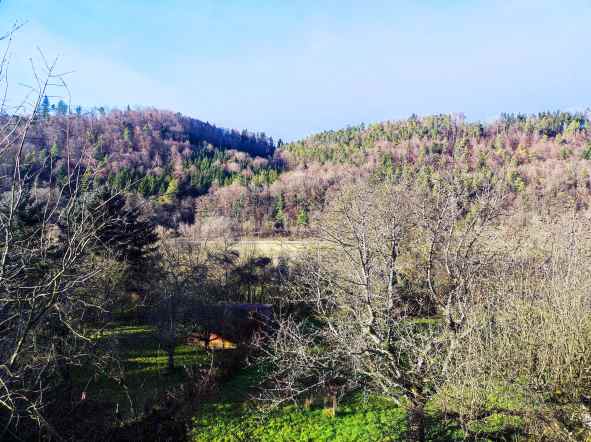 Aussicht aus dem Wohnzimmer