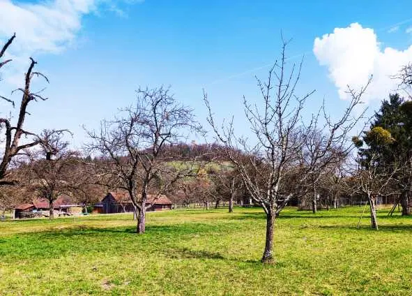 Ausblick auf die Weilerburg am Fuße der Schwäbischen Alb.