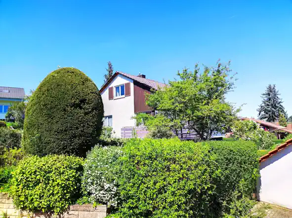 Blick in den gepflegten Garten mit Rasenfläche – Hausverkauf Rottenburg