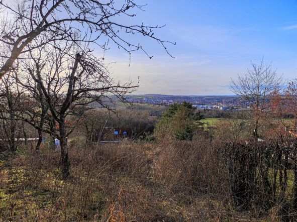 Immobilien Rottenburg kaufen Grundstück Martinsberg