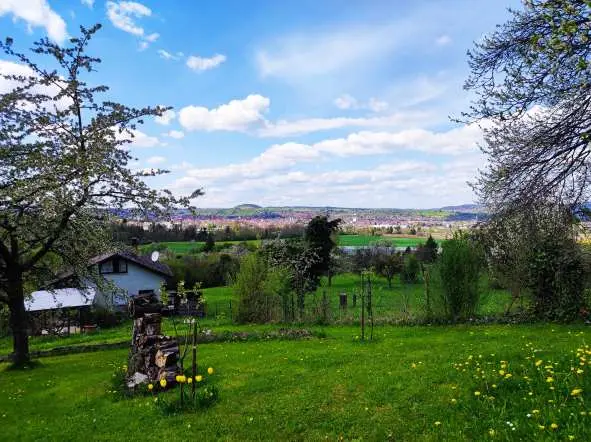 Blick durch den eingewachsenen Garten am Martinsberg Rottenburg