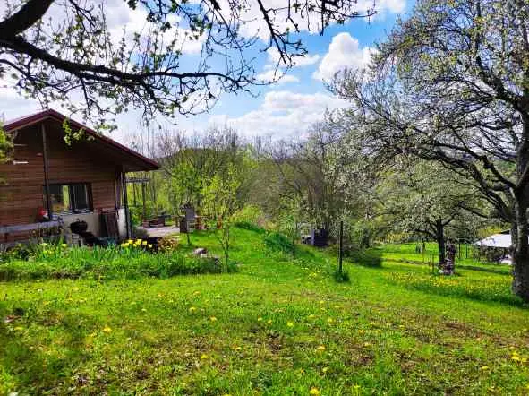 Vorderansicht des Wochenendgrundstücks am Martinsberg