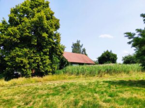 Immobilien Bodelshausen