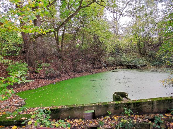 Martinsberg Rottenburg am Neckar