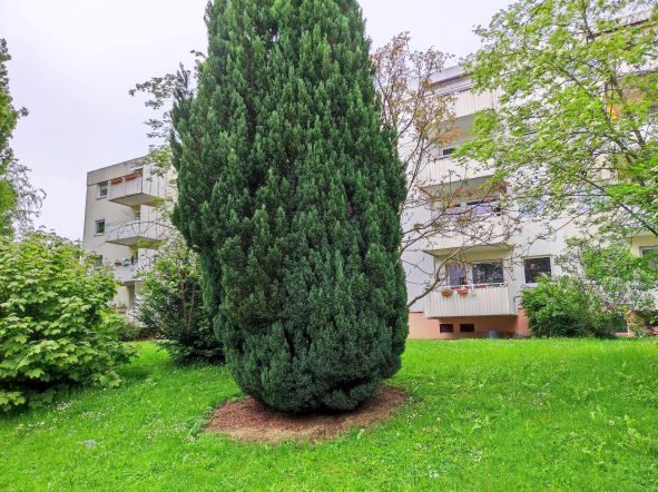 4 Zimmer Wohnung Tübingen