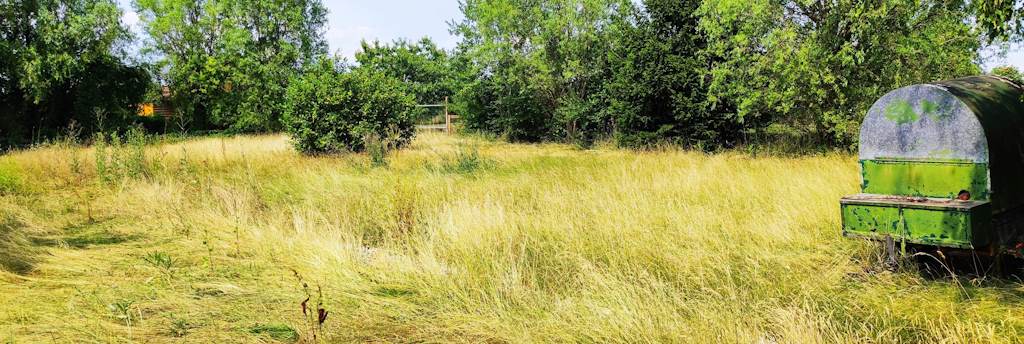 Haus kaufen Rottenburg Ranch mit großem Grundstück